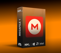 Discord Mega 1 File Full Access